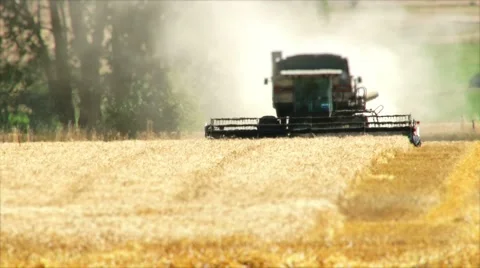 Combine Harvesting Wheat Field in Washington State Stock Footage 44789903