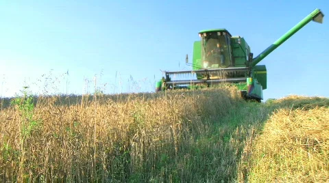 Combine Harvesting Wheat Stock Footage 140157