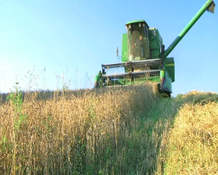Combine Harvesting Wheat Stock Footage 2823318