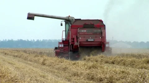 Combine Harvesting Wheat Stock Footage 8555860