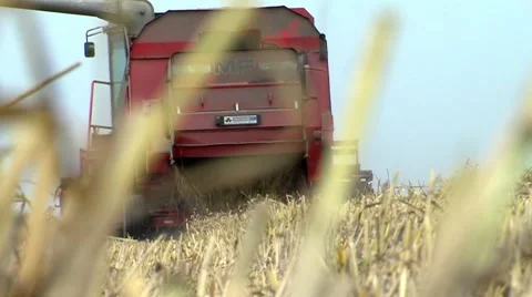 Combine Harvesting Wheat Stock Footage 8555872