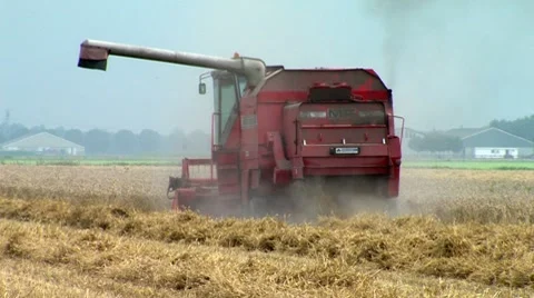 Combine Harvesting Wheat Stock Footage 8555881