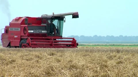 Combine Harvesting Wheat Stock Footage 8555899