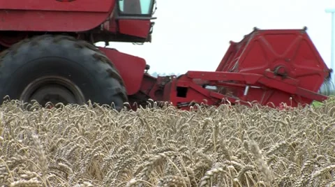 Combine Harvesting Wheat Stock Footage 8555908