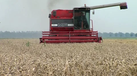 Combine Harvesting Wheat Stock Footage 8555926