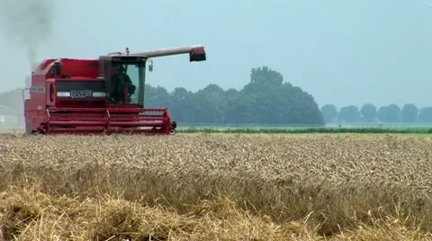 Combine Harvesting Wheat Stock Footage 8555944