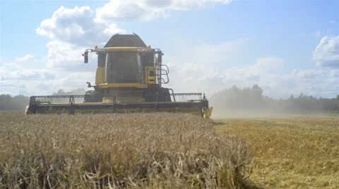 Combine Harvesting Wheat Stock Footage 40764650