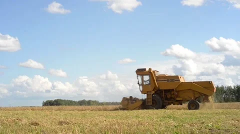 Combine Harvesting Wheat Stock Footage 40764654