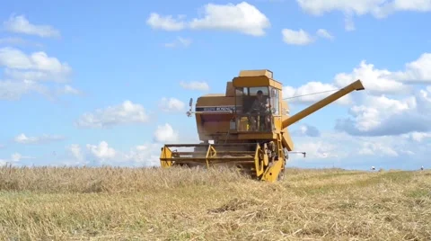 Combine Harvesting Wheat Stock Footage 40764661