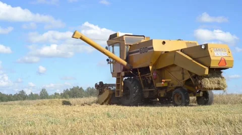 Combine Harvesting Wheat Stock Footage 40764664