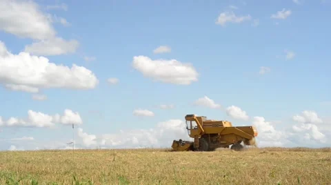Combine Harvesting Wheat Stock Footage 40764665