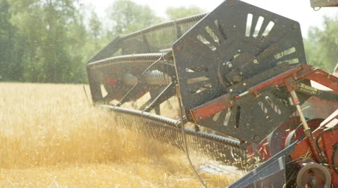 Combine Harvesting Wheat Stock Footage 52228664
