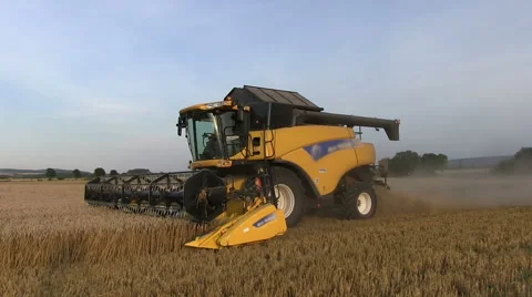 Combine harvesting wheat 스톡 동영상 55265299