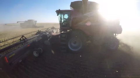 Combine Harvesting Wheat Vídeo Stock 60040237