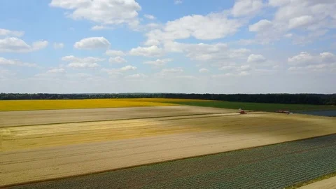 Combine Harvesting Wheat Stock Footage