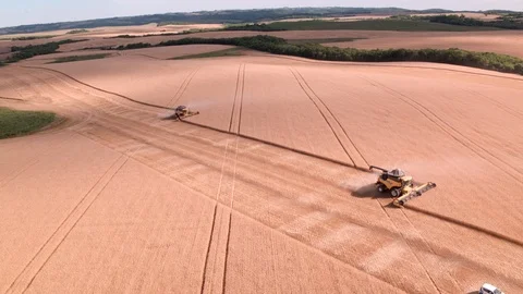 Combine Harvesting Wheat 스톡 동영상 106198956