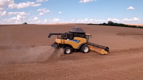 Combine Harvesting Wheat Stock Footage 106199918