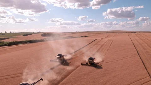 Combine Harvesting Wheat Stock Footage 106201085