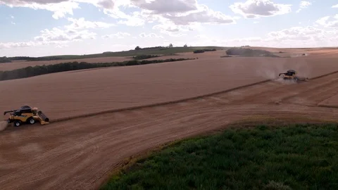 Combine Harvesting Wheat 스톡 동영상 106205546