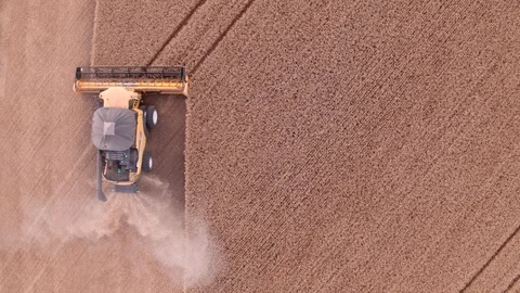 Combine Harvesting Wheat Stock Footage 106205698