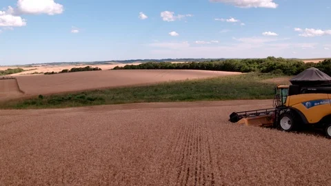 Combine Harvesting Wheat Stock Footage 106205965