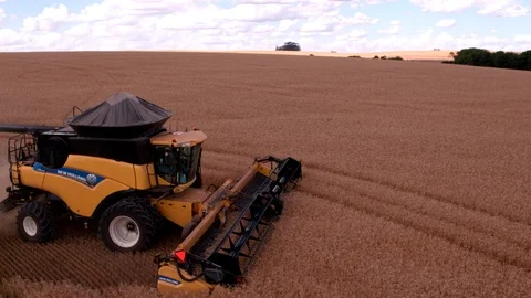 Combine Harvesting Wheat Stock Footage 106206209