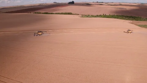 Combine Harvesting Wheat Stock Footage 106210434