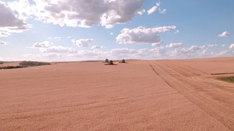 Combine Harvesting Wheat Stock Footage 106210760