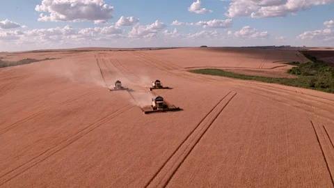 Combine Harvesting Wheat Stock Footage 106211379