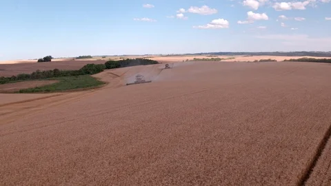Combine Harvesting Wheat Stock Footage 106211405