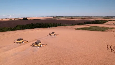 Combine Harvesting Wheat Stock Footage 106214604