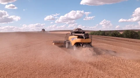 Combine Harvesting Wheat Stock Footage 106214729