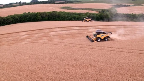 Combine Harvesting Wheat Stock Footage 106216911