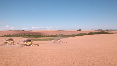 Combine Harvesting Wheat Stock Footage 106216947