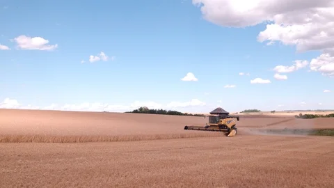 Combine Harvesting Wheat Stock Footage 106217123