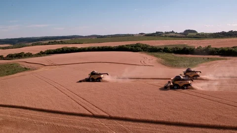 Combine Harvesting Wheat Stock Footage 106218128