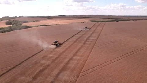 Combine Harvesting Wheat Stock Footage 106218431