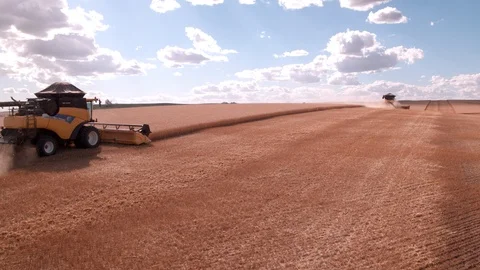 Combine Harvesting Wheat 스톡 동영상 106218969