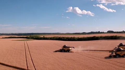 Combine Harvesting Wheat 스톡 동영상 106219836