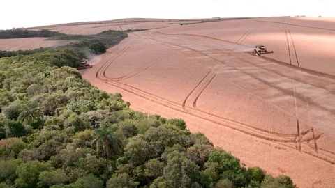 Combine Harvesting Wheat Stock Footage 106220337