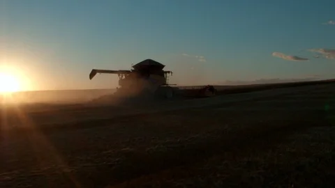 Combine Harvesting Wheat Stock Footage 106220603