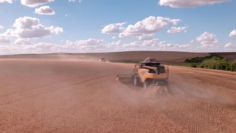 Combine Harvesting Wheat 스톡 동영상 106221551