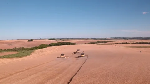 Combine Harvesting Wheat Stock Footage 106222138