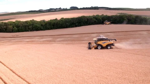 Combine Harvesting Wheat Stock Footage 106223833