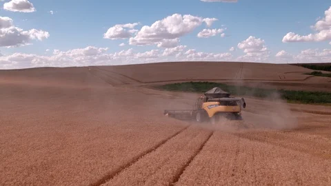 Combine Harvesting Wheat Stock Footage 106225027