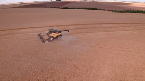 Combine Harvesting Wheat Stock Footage 106225857