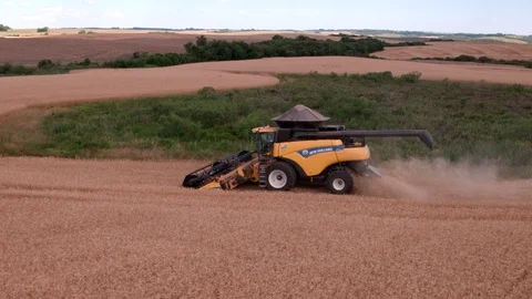 Combine Harvesting Wheat Stock Footage 106229993