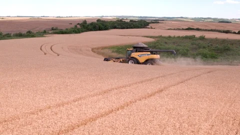 Combine Harvesting Wheat Stock Footage 106232886