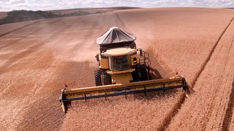 Combine Harvesting Wheat Stock Footage 106235245
