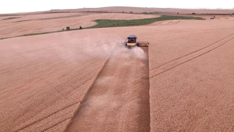 Combine Harvesting Wheat Stock Footage 106237031
